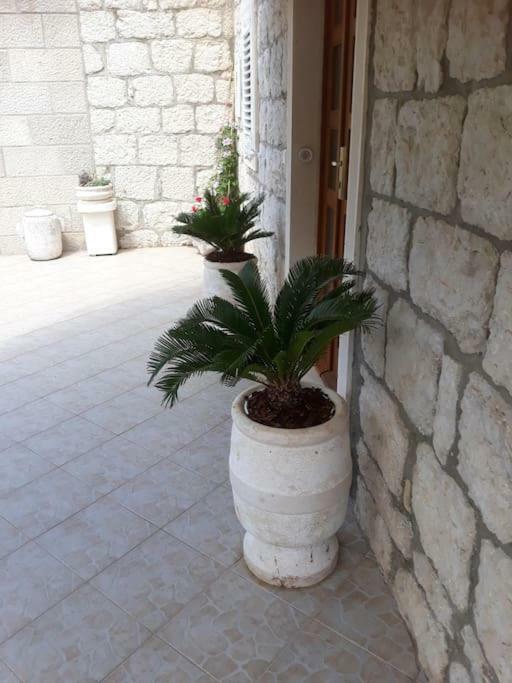 Mokošica Villa Sweet Home מראה חיצוני תמונה